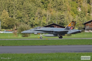 Swiss Air Force McDonnell Douglas F/A-18C Hornet J-5011 - Fliegerstaffel 11 "Tiger"